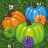 Color Pumpkin Match